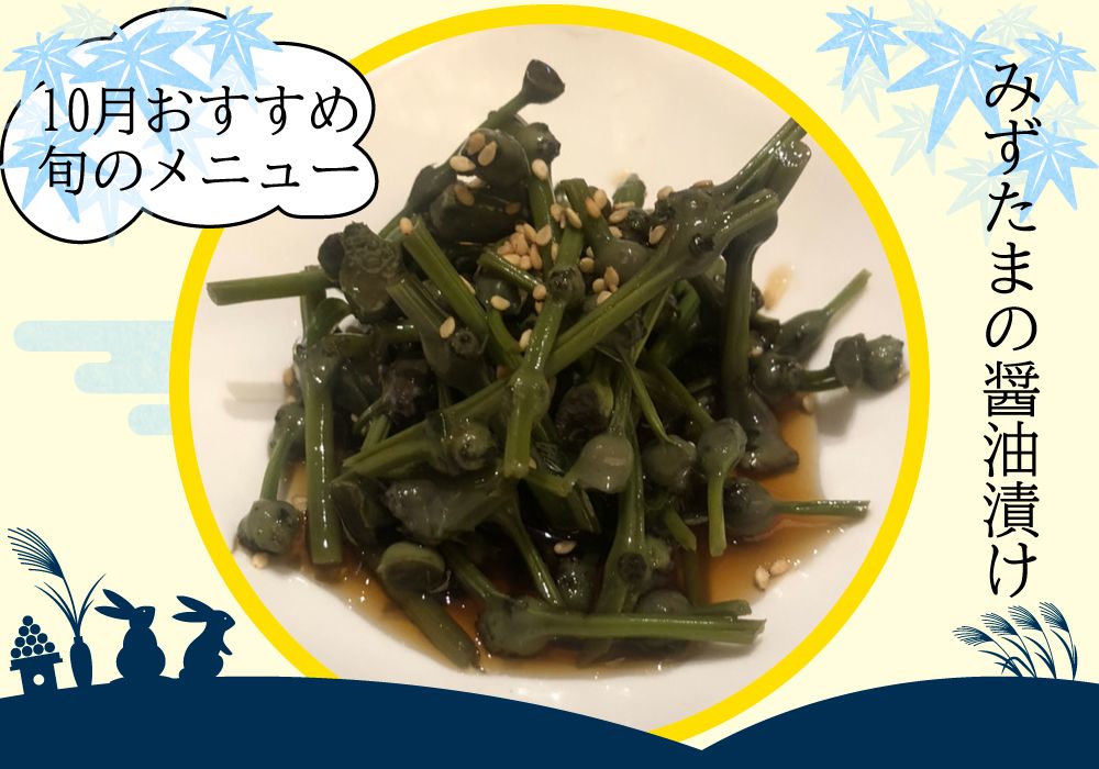 和食居酒屋 月替わりおすすめ配信
